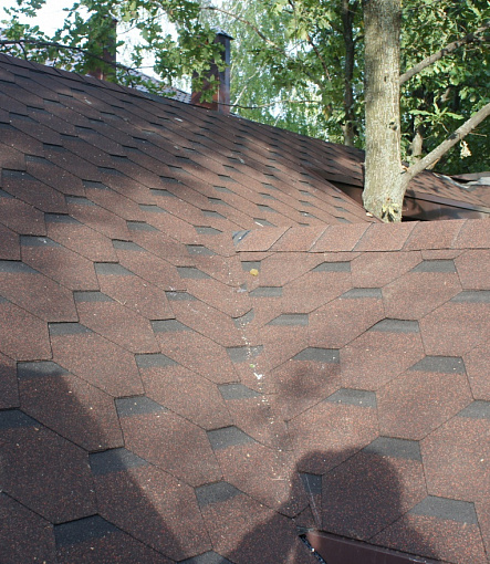 Битумная черепица, Серия Premium, Коллекция Кёльн, Цвет Корица - 3