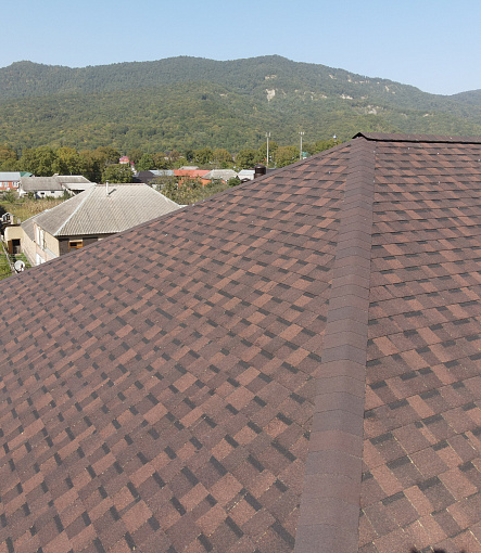 Ламинированная черепица, серия DRAGON PREMIUM, цвет Зрелый каштан - 1